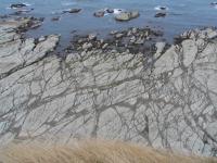 Albums/20060200-New Zealand 2006/20060318-Kaikiura/26